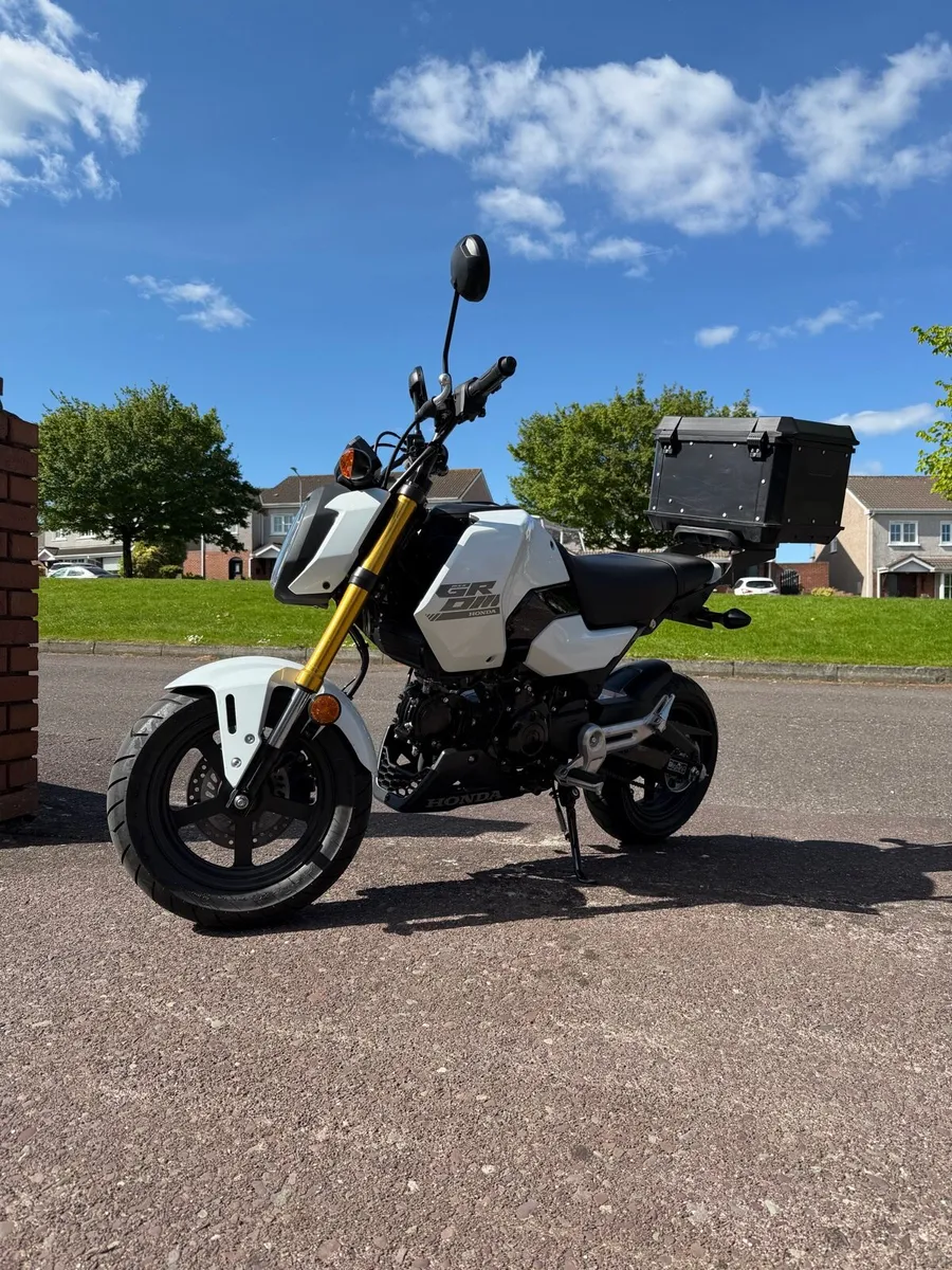 Honda Grom - Image 2