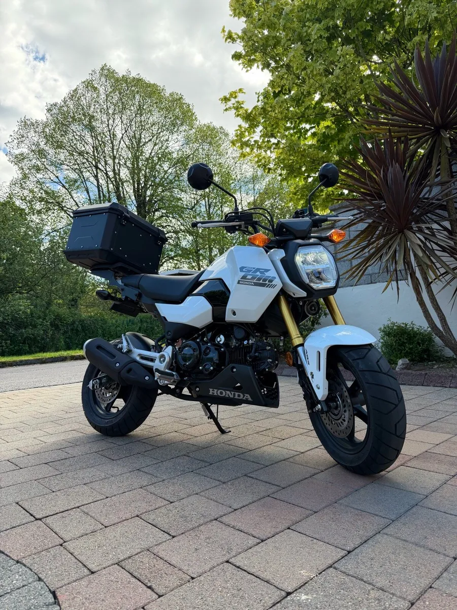 Honda Grom - Image 3
