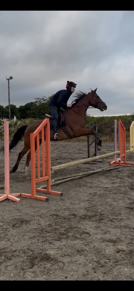 Eventer prospect ❗️ - Image 1