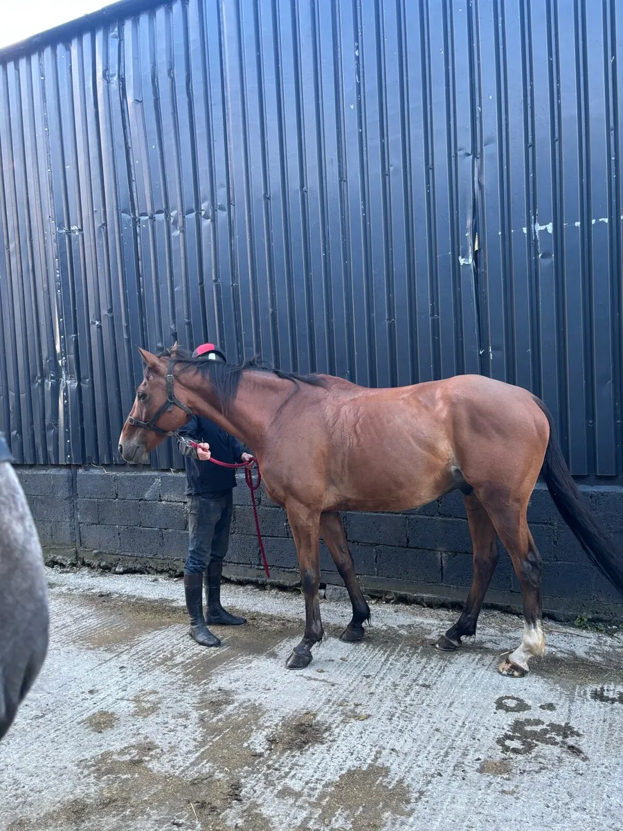 Eventer prospect ❗️ - Image 2