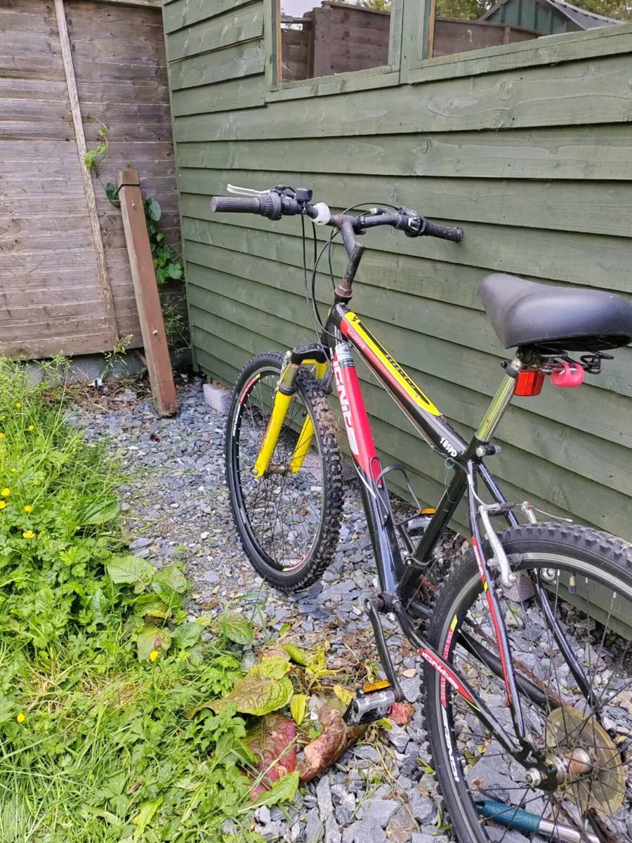 Bicycle - Image 3