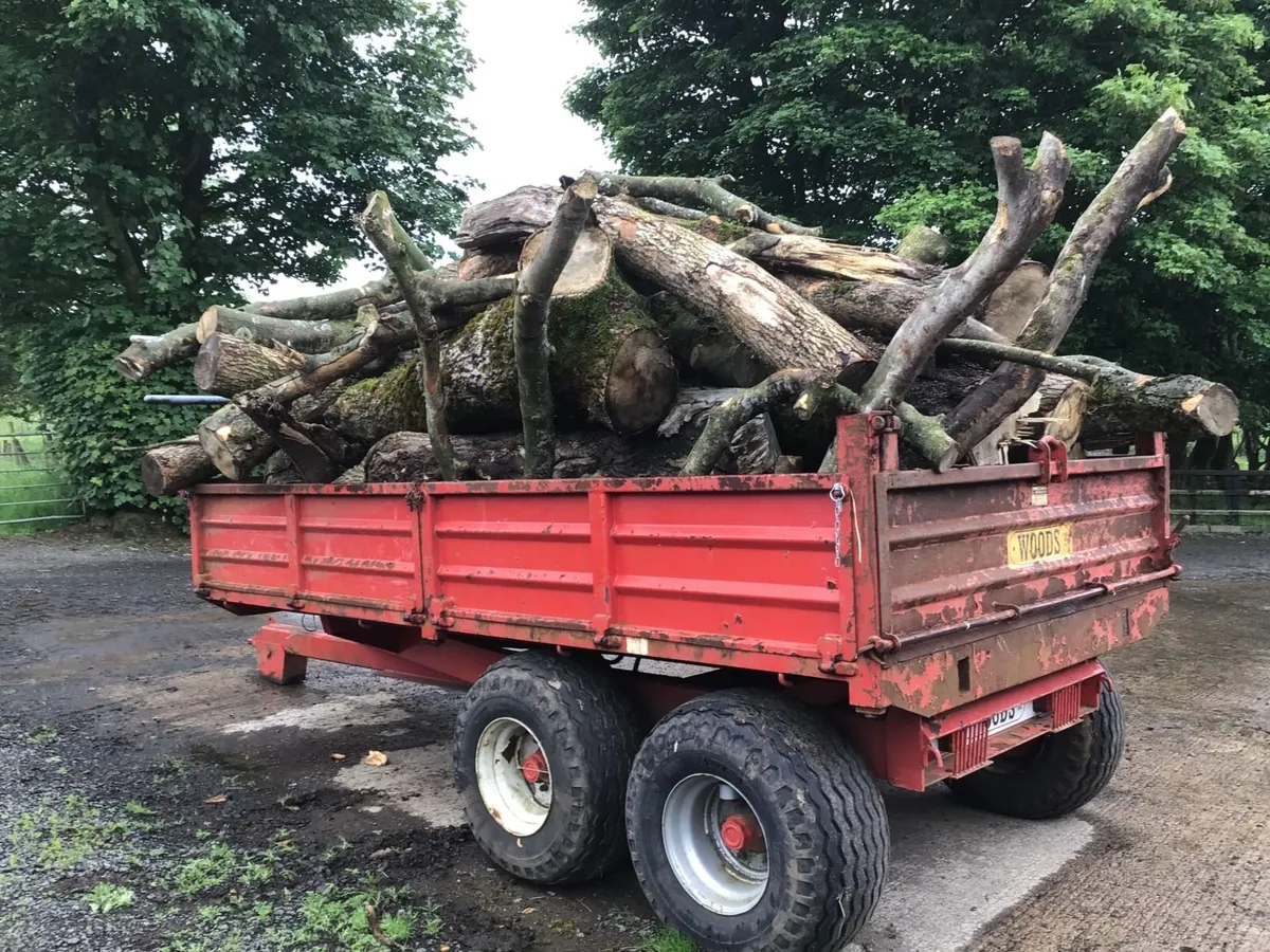 Timber/Firewood - Image 1
