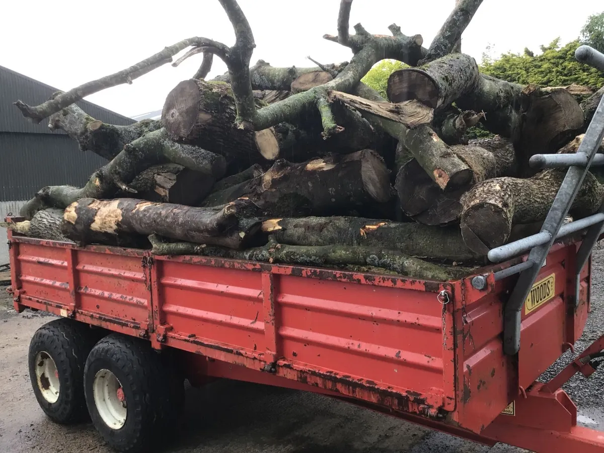 Timber/Firewood - Image 2