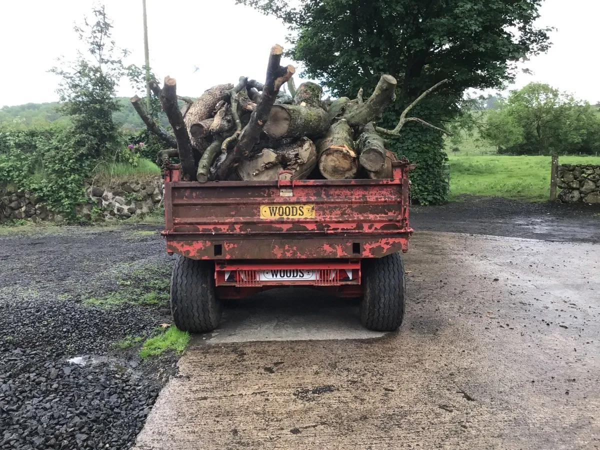 Timber/Firewood - Image 3
