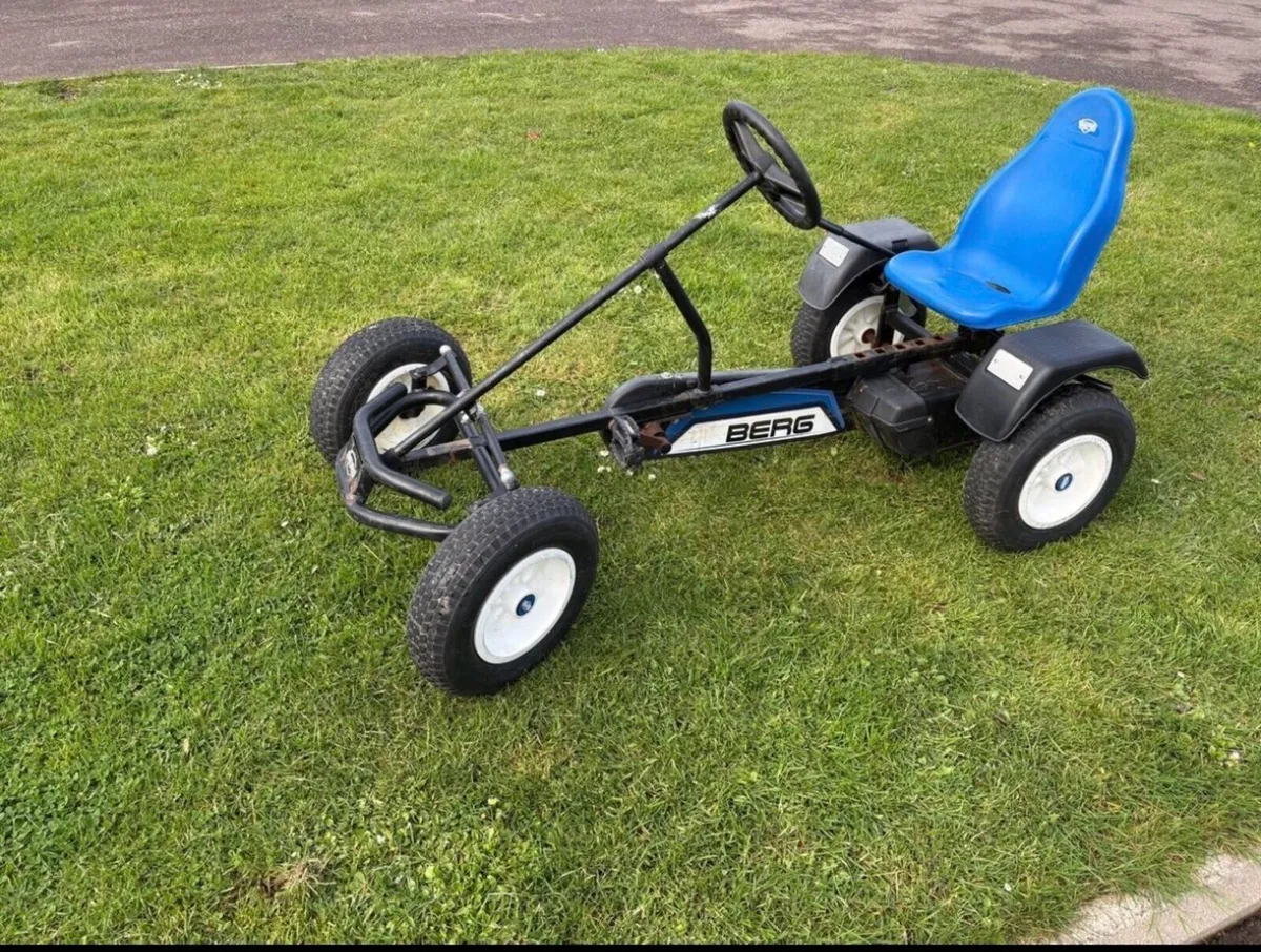 Berg Go Cart - Image 1