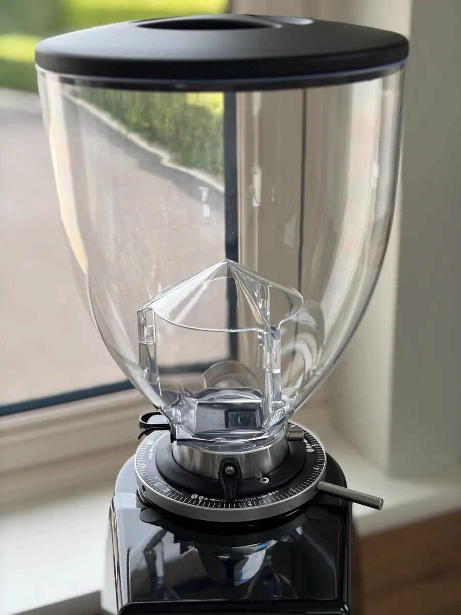 FIORENZATO F64 EVO GRINDER - Image 2