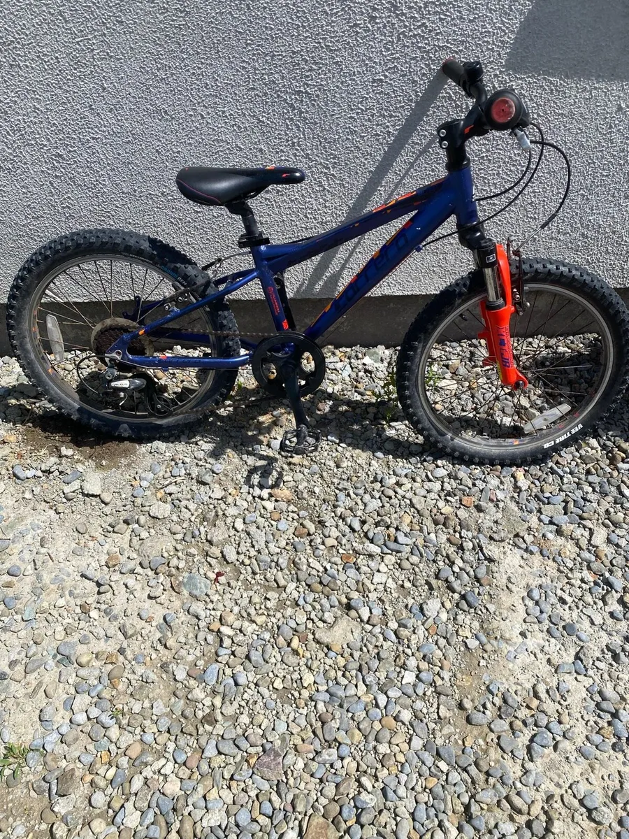 Kids Carrera mountain bike - Image 1