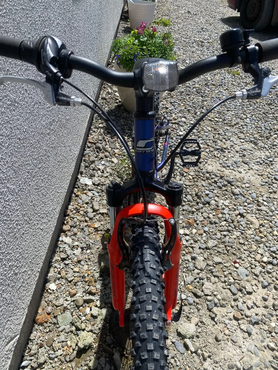 Kids Carrera mountain bike - Image 2