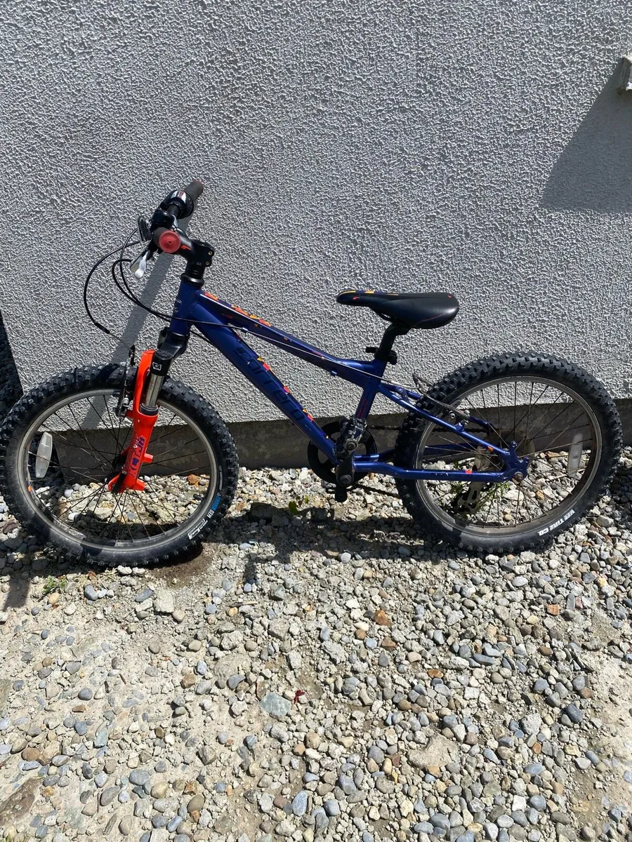 Kids Carrera mountain bike - Image 4