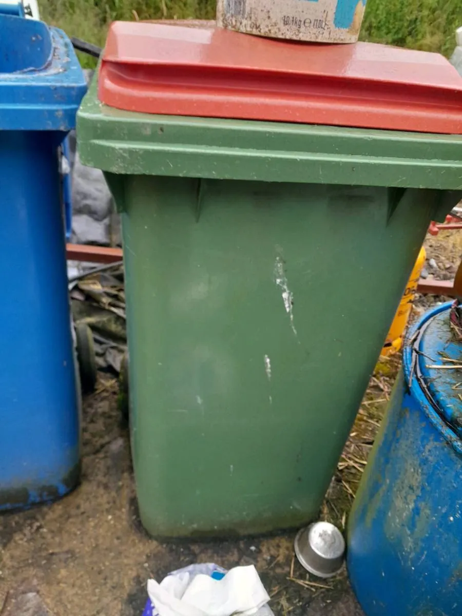 Wheelie bins - Image 1