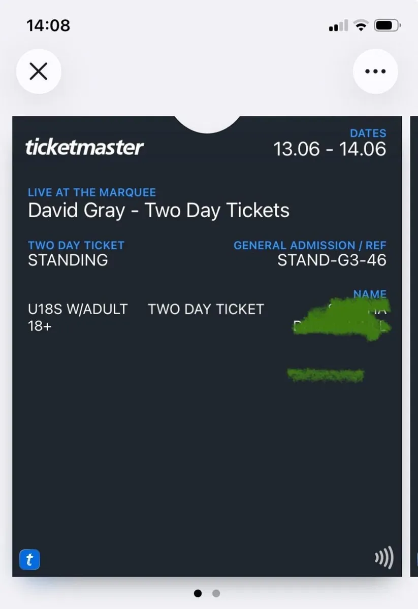 David Gray - 2 x weekend tickets - Image 1