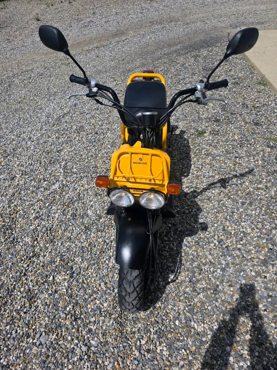 Honda Zoomer 50cc like new! - Image 3