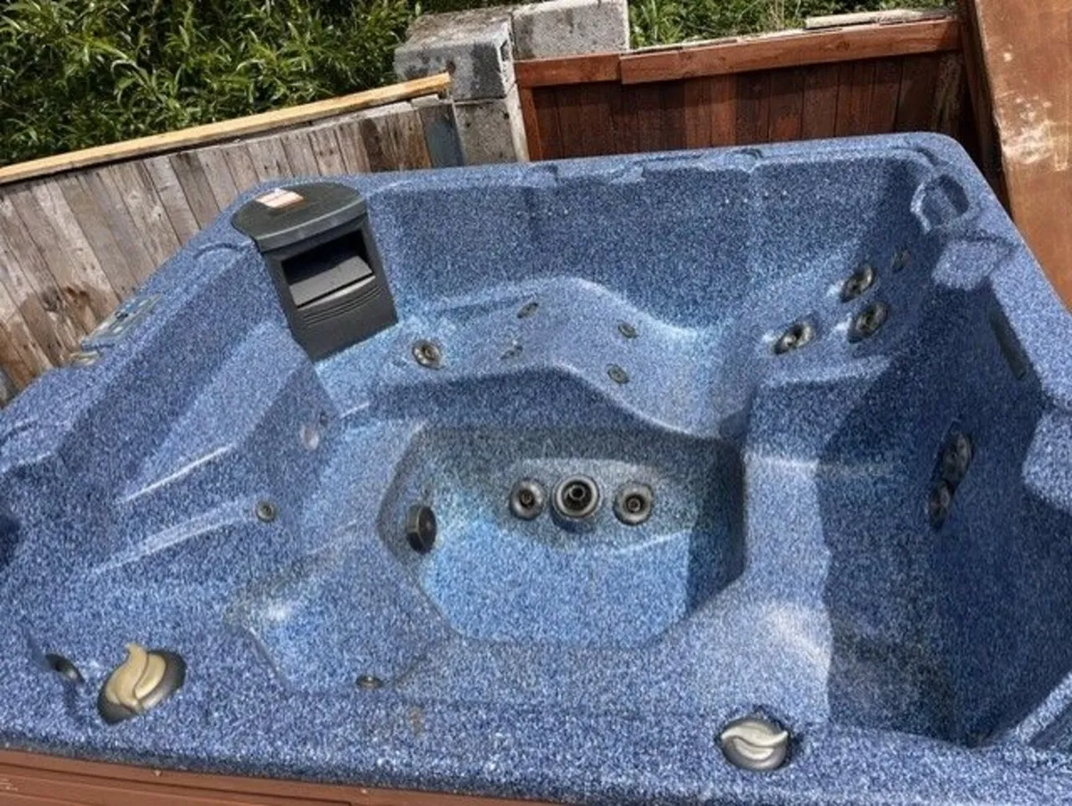 Vita spa 100 HOT TUB - Image 3