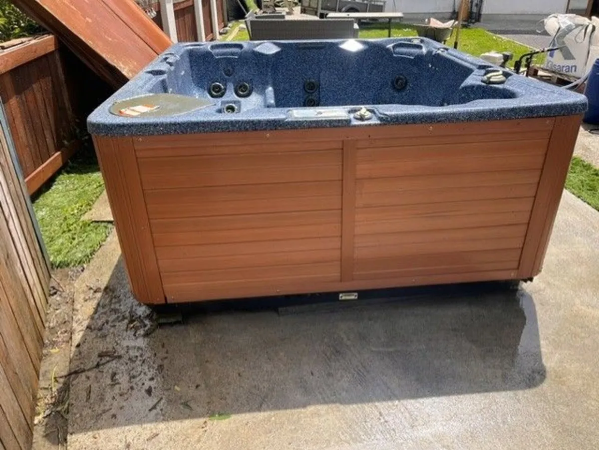 Vita spa 100 HOT TUB - Image 2