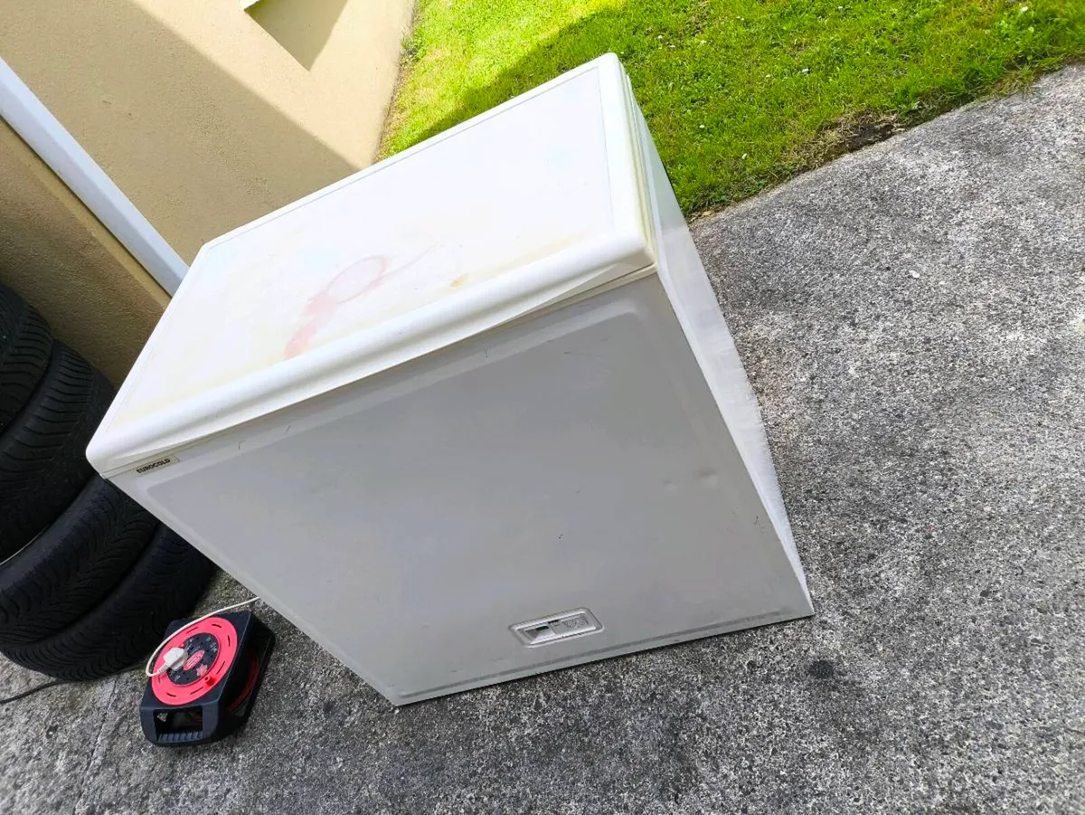 170L Freezer - Image 1
