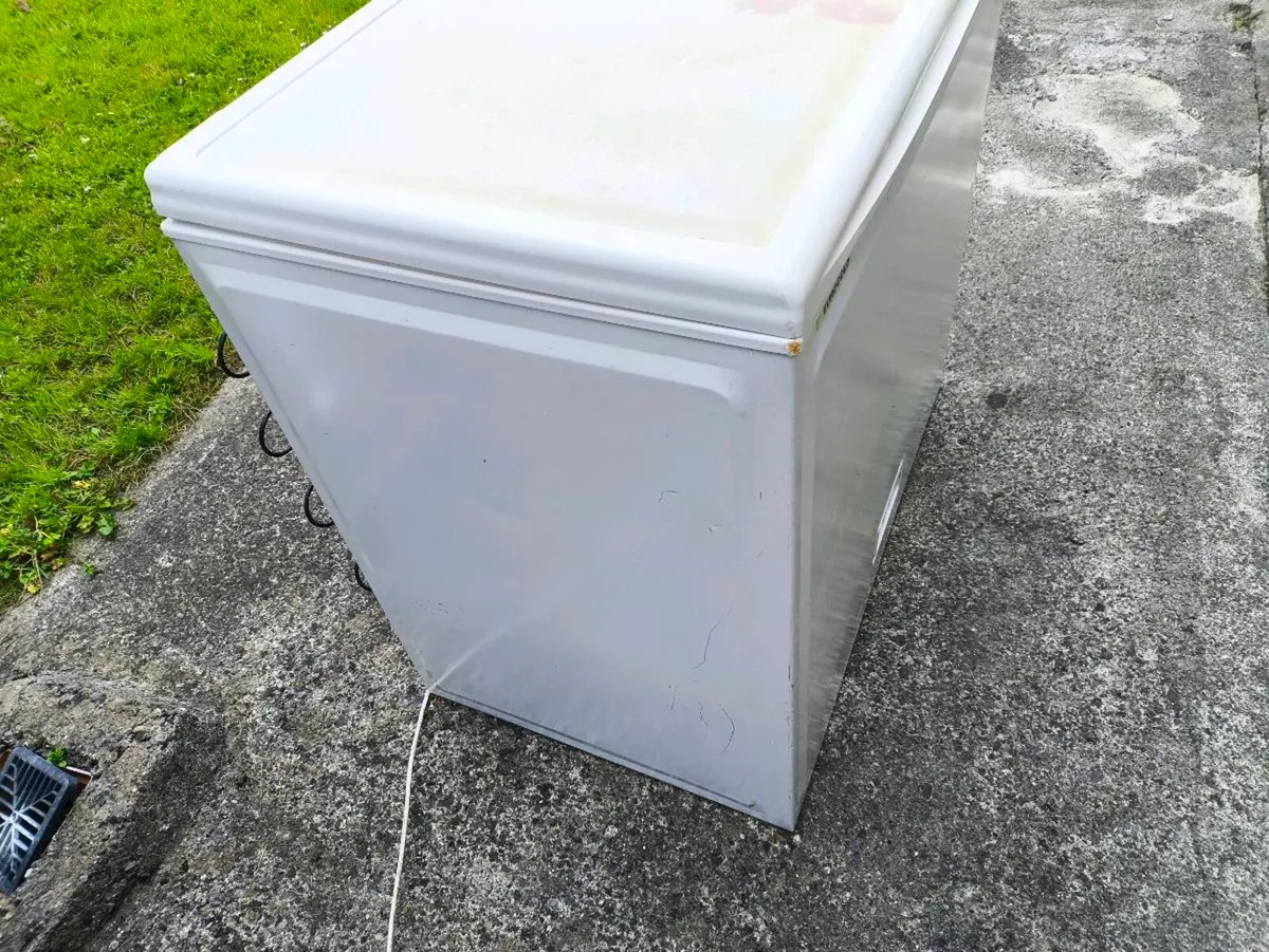 170L Freezer - Image 3