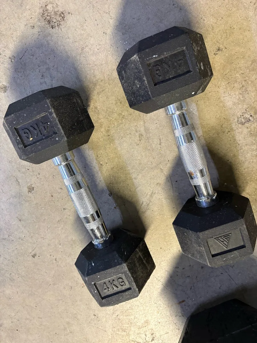 4KG Hex Dumbbell Pair