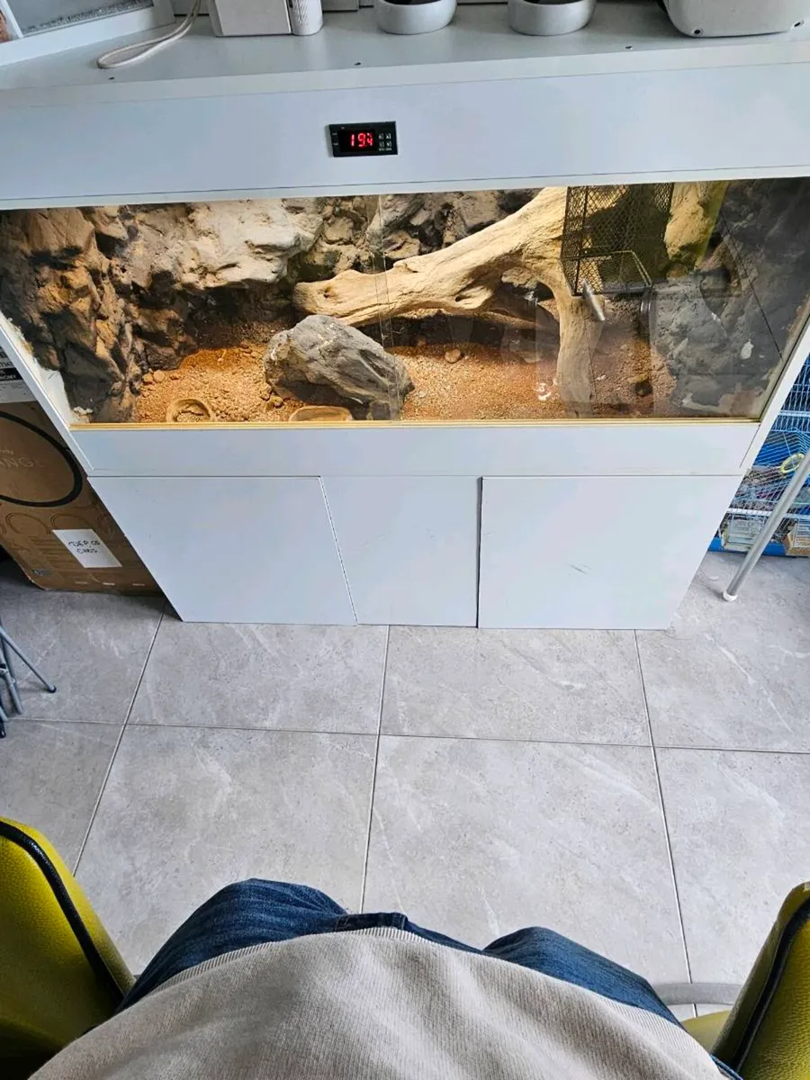 Vivarium - Image 2