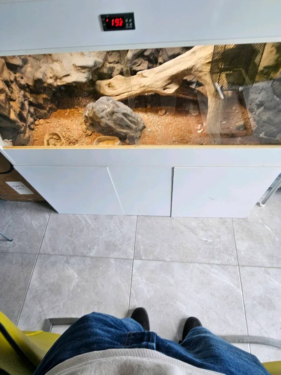Vivarium - Image 3