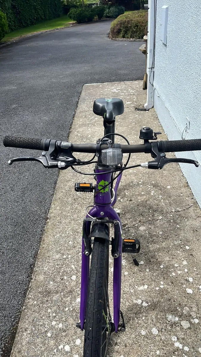 Frog 69 Bicycle - Image 2