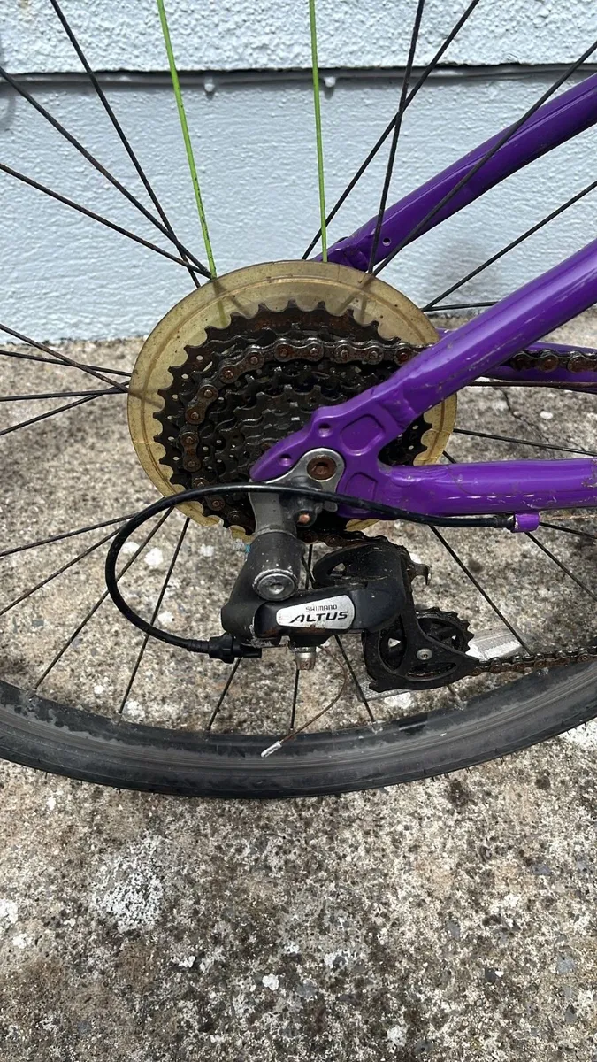 Frog 69 Bicycle - Image 3