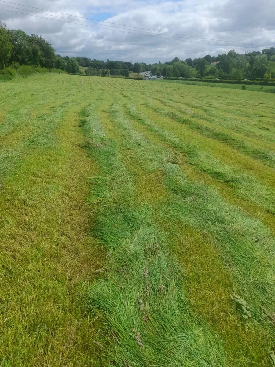 Silage bales - Image 1