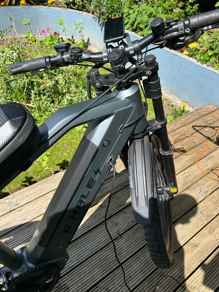 Electric bike - Image 2