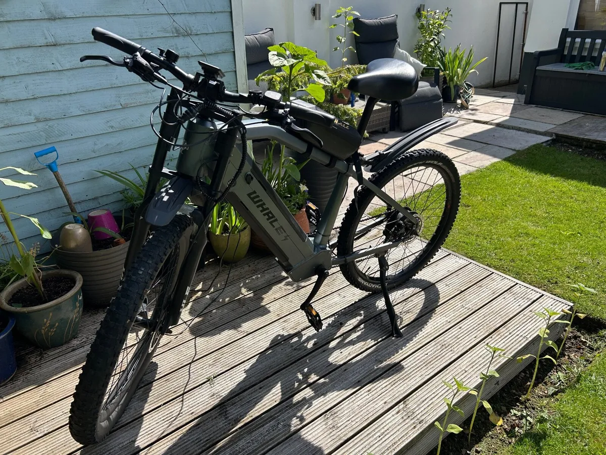 Electric bike - Image 1