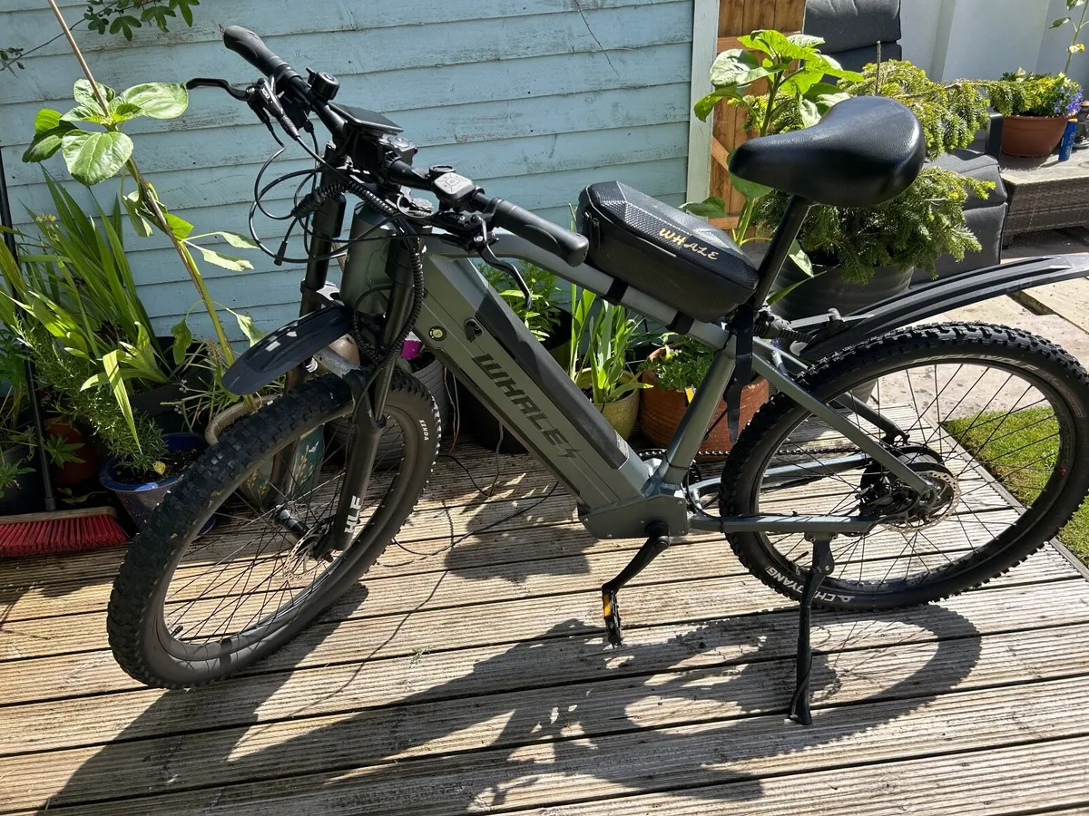 Electric bike - Image 3