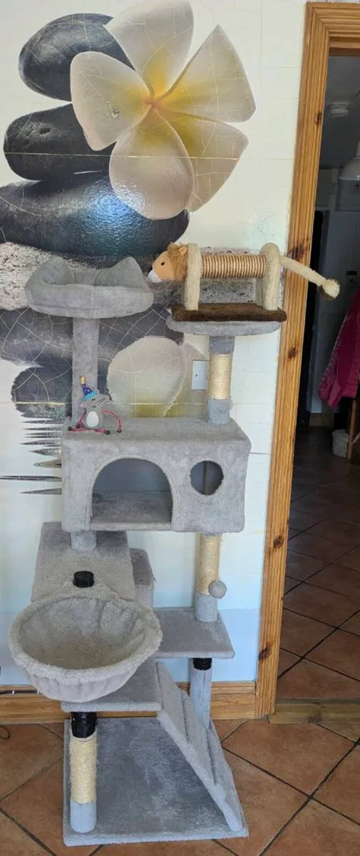 Cats tower
