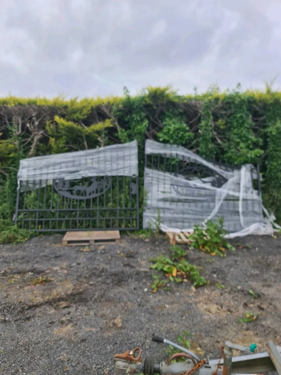 20 ft gates - Image 1