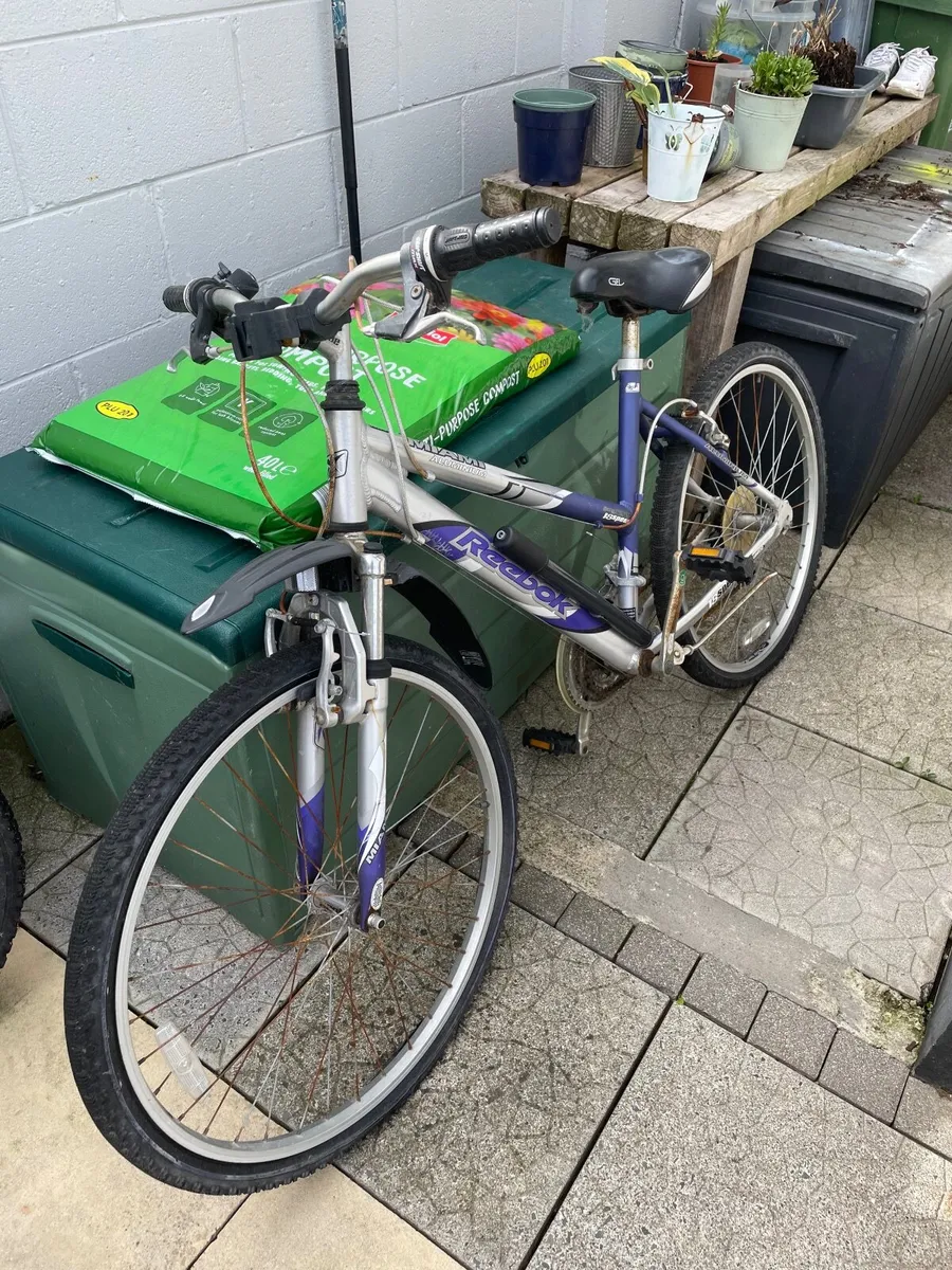 Bike - Image 2
