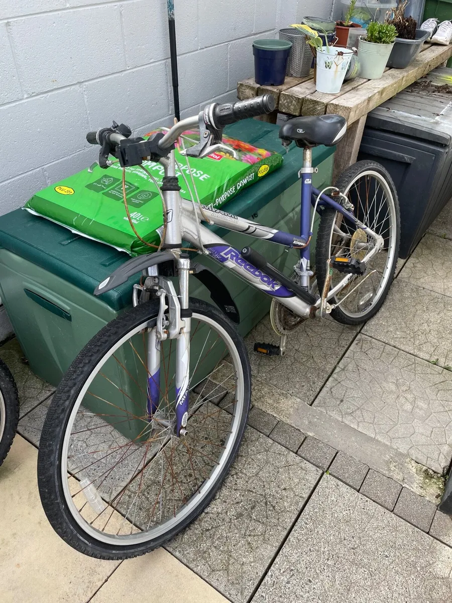 Bike - Image 1
