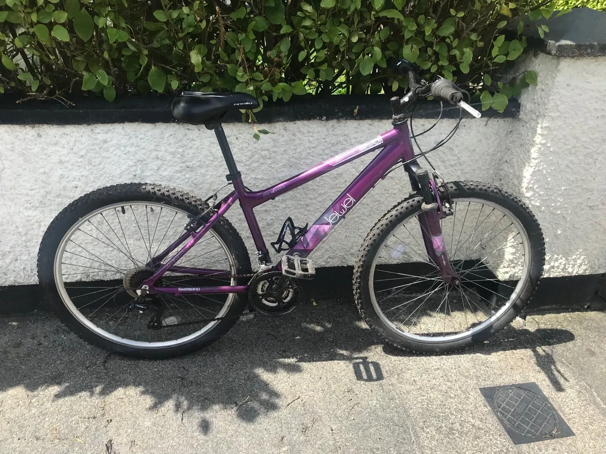 Ladies mountain bike for sale - Image 2