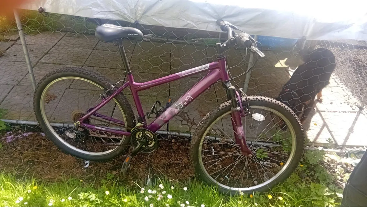 Ladies mountain bike for sale - Image 3