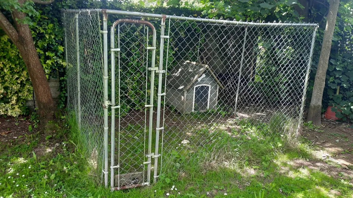 Dog pen - Image 4