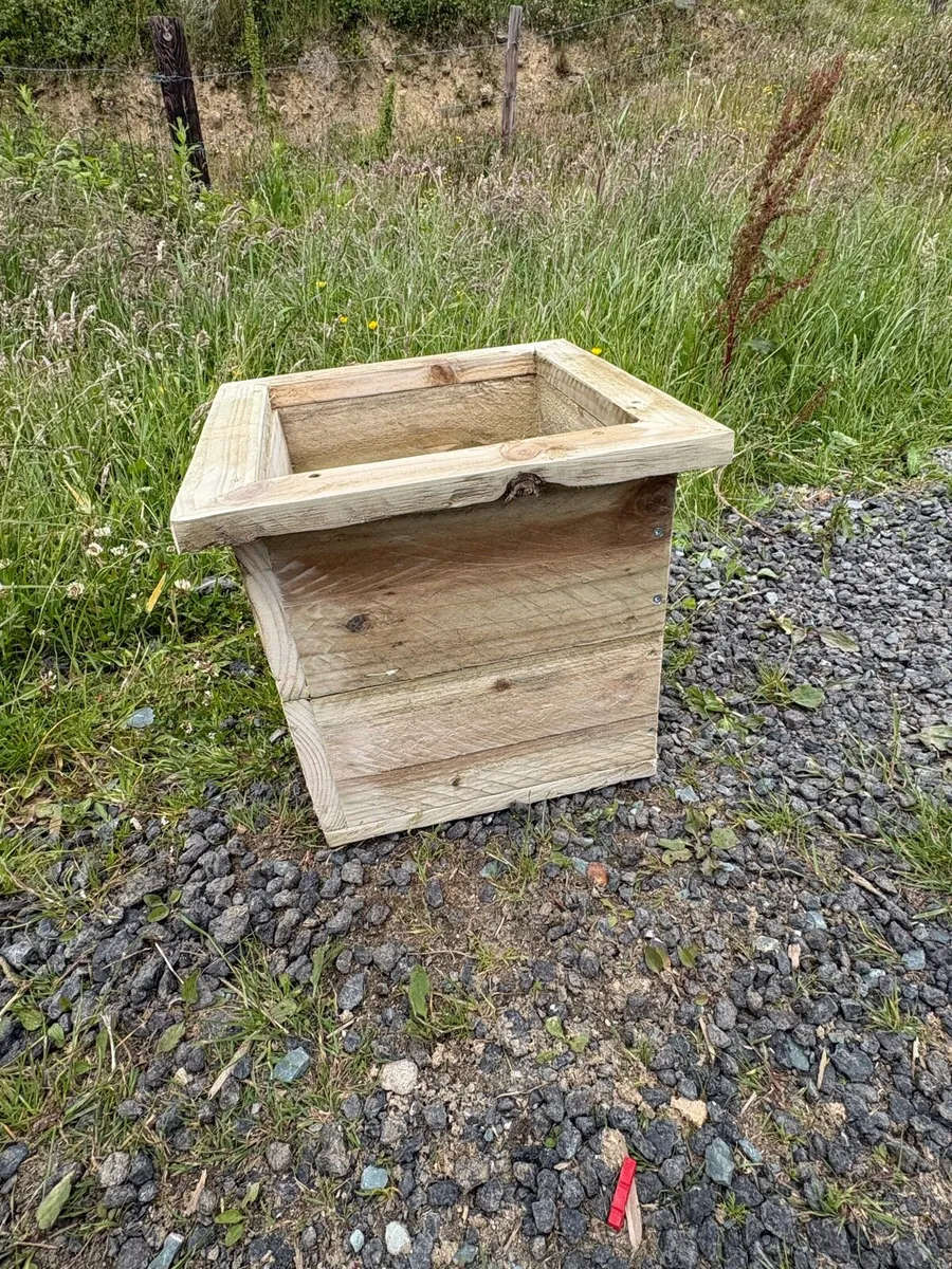Plant pots - Image 1