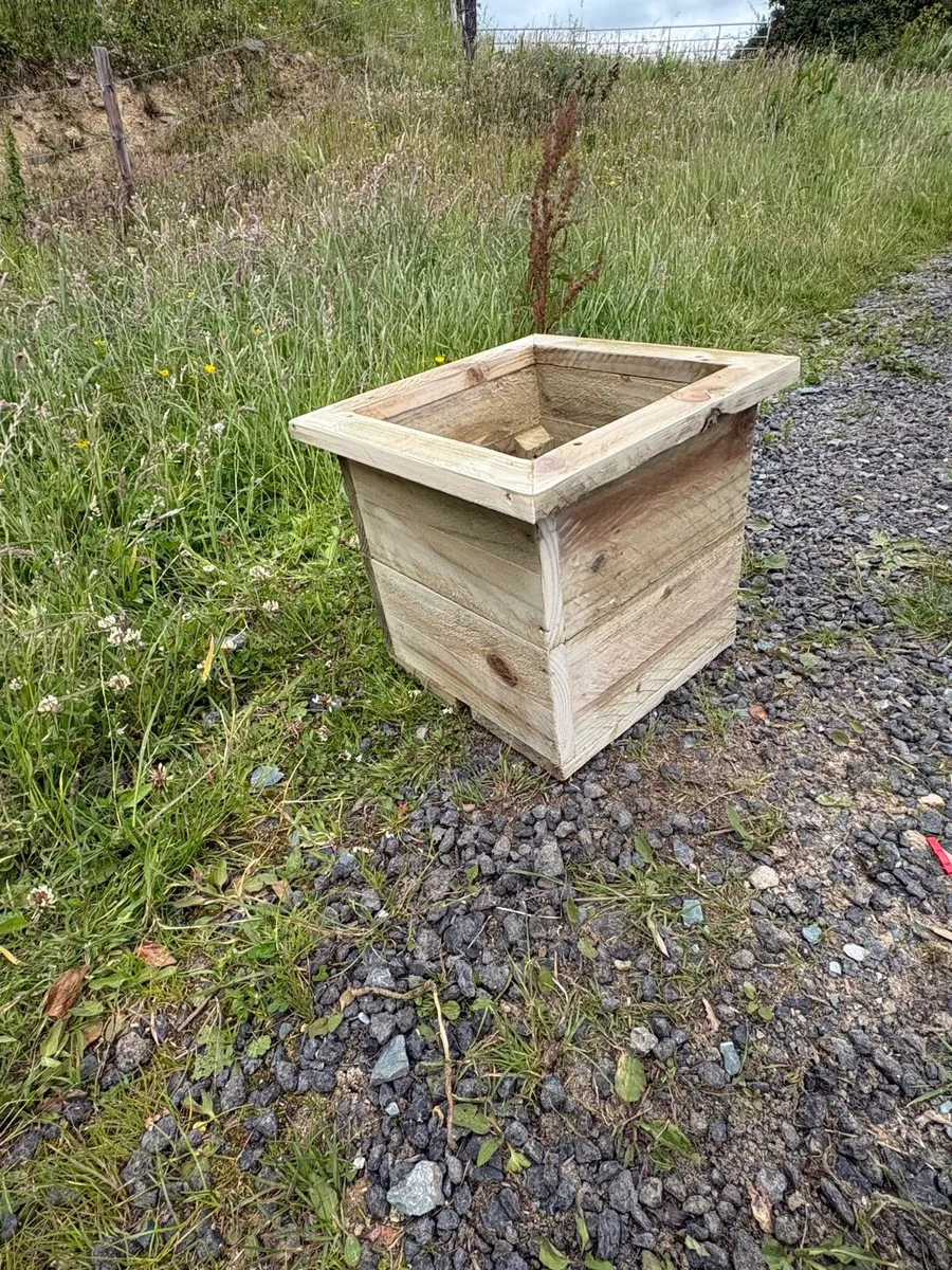 Plant pots - Image 2