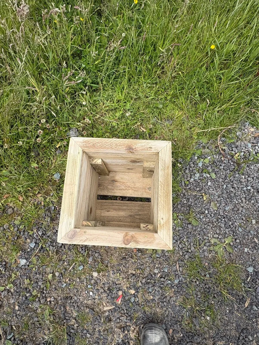 Plant pots - Image 4