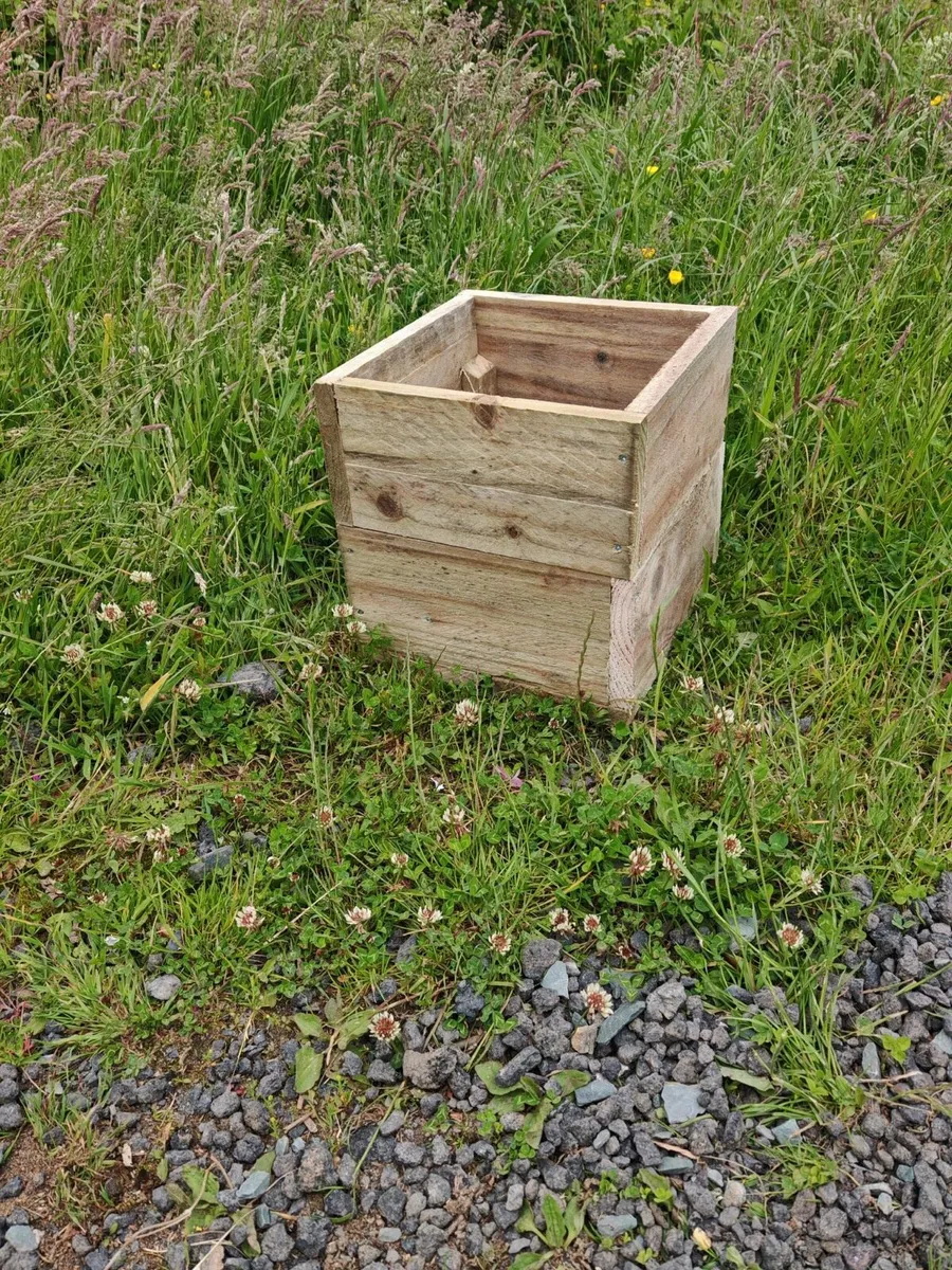 Plant pots - Image 1
