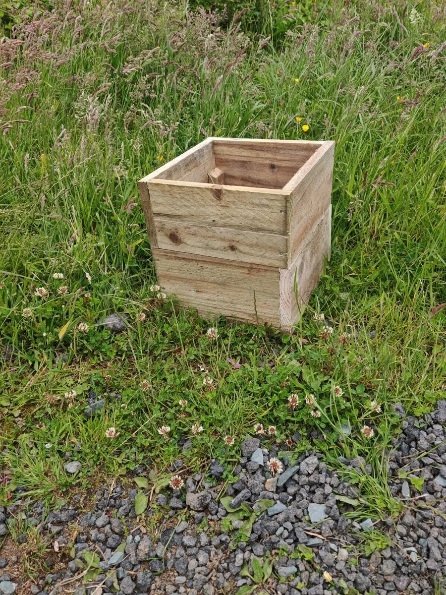 Plant pots - Image 2