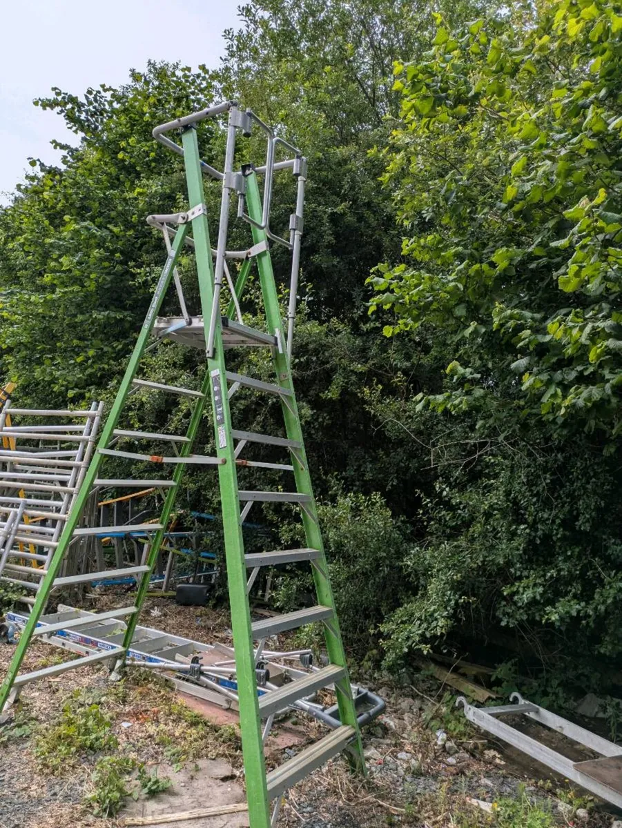 Platform ladders - Image 1