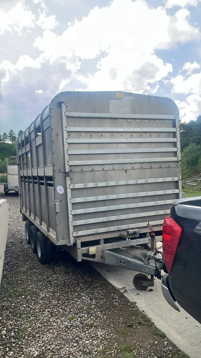 Ivor Williams cattle trailer with decks - Image 2