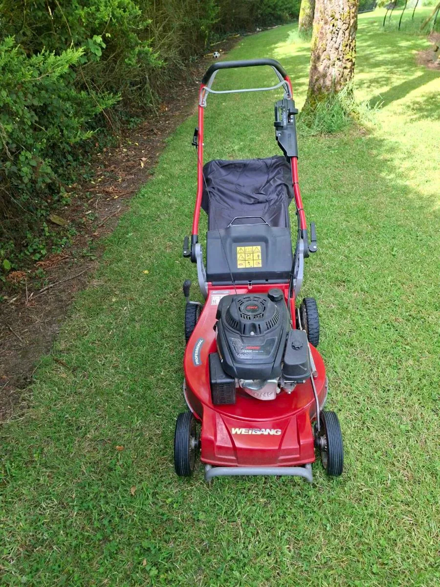 Weibang lawnmower - Image 1