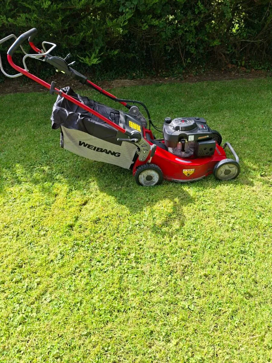 Weibang lawnmower - Image 3