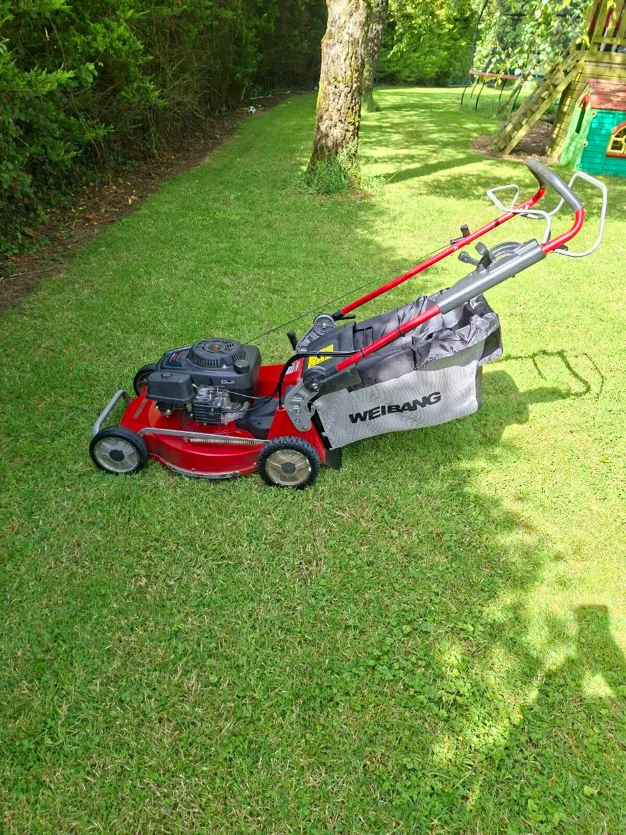 Weibang lawnmower - Image 2