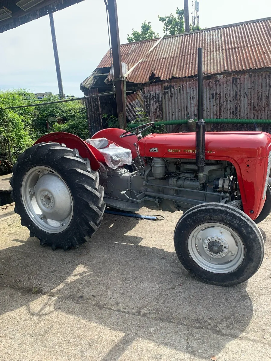 Massey Ferguson 165 and 35 - Image 2