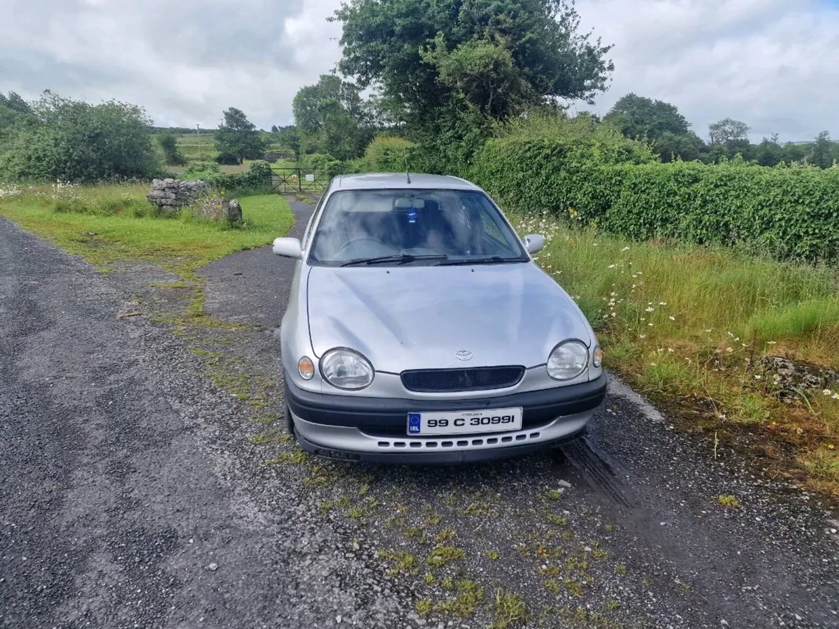 Corolla - Image 2
