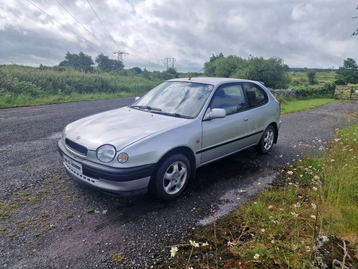 Corolla - Image 4