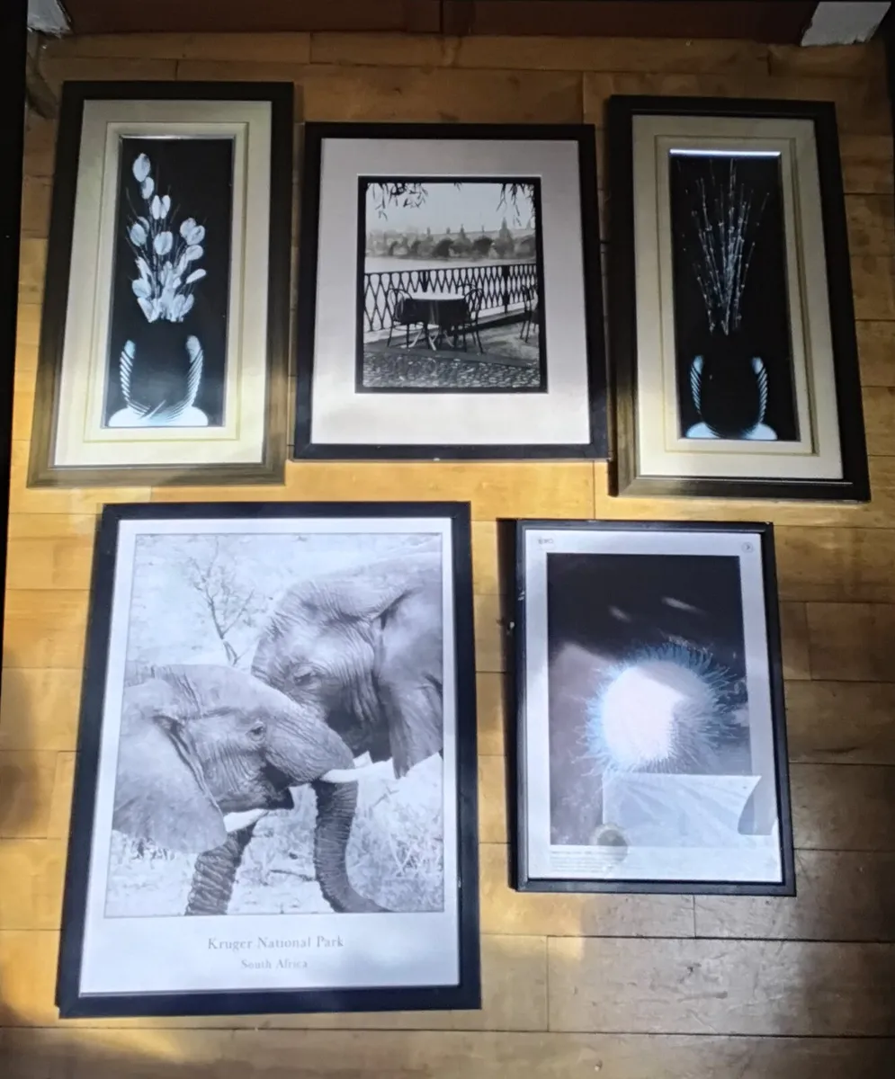 Black pictures with frame